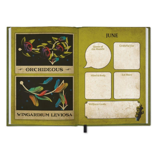 Harry Potter A5 Diary 2026